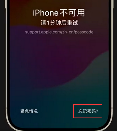 苹果手机密码维修分享iPhone忘记了刚设置的密码 